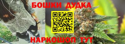 apvp Лесосибирск