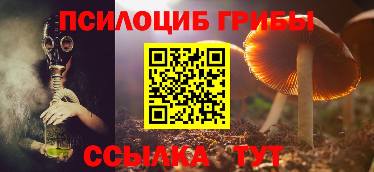 Жигулёвск  Псилоцибиновые грибы Cubensis  Вход с VPN 