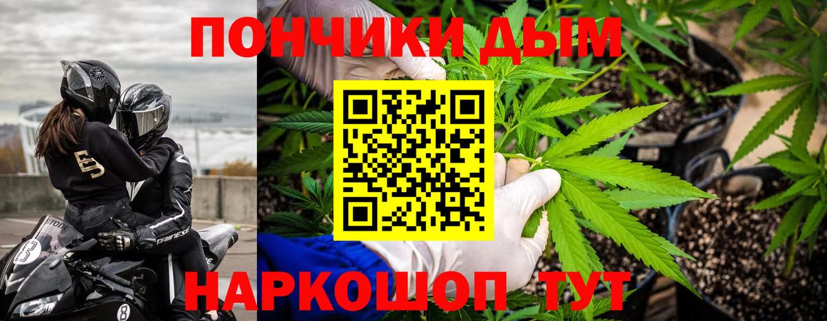 Шишки марихуана Amnesia Жигулёвск