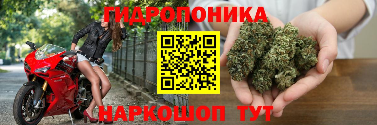 Бошки Шишки Bruce Banner  Вход с VPN  Жигулёвск  Бошки марихуана семена  Конопля сатива 
